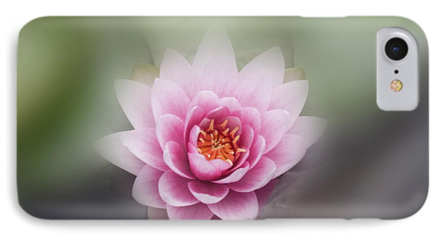 Lotus iPhone 7 Case featuring the photograph Water Lotus Flower by Elaine Teague