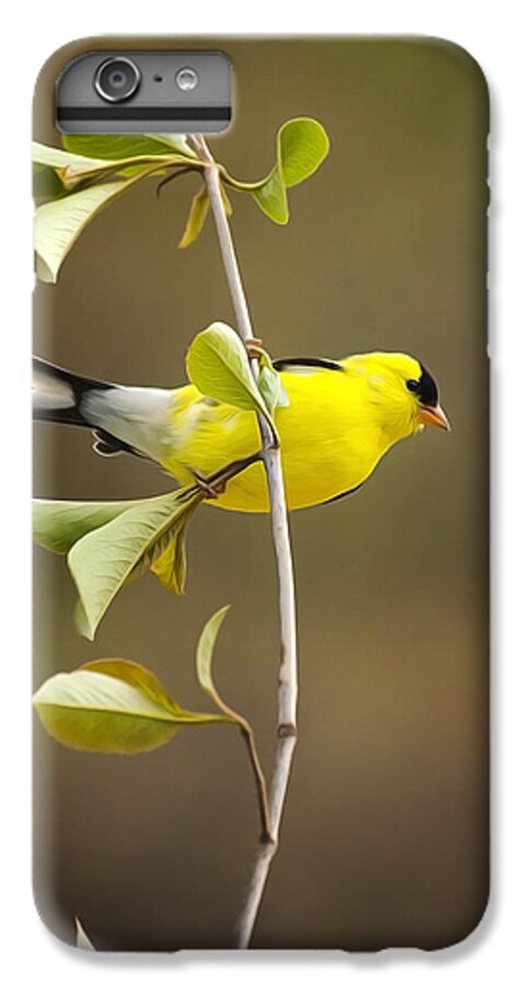 Goldfinch iPhone 7 Plus Case featuring the painting American Goldfinch by Christina Rollo