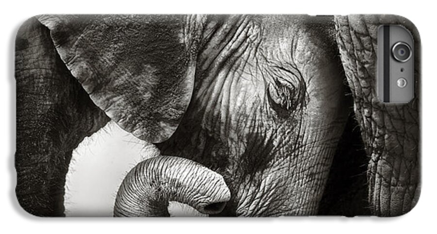 Elephant iPhone 7 Plus Case featuring the photograph Baby elephant seeking comfort by Johan Swanepoel