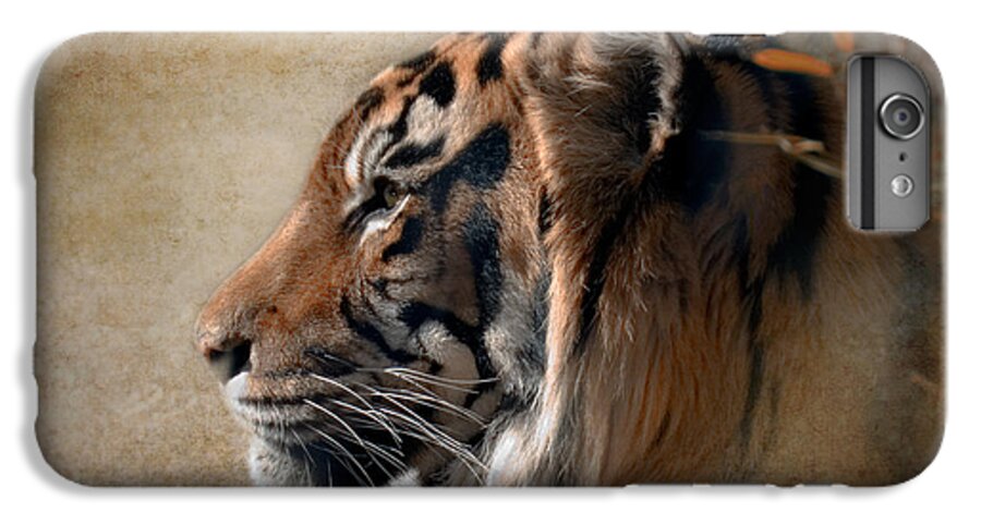 Tiger iPhone 7 Plus Case featuring the photograph Burning Bright by Betty LaRue