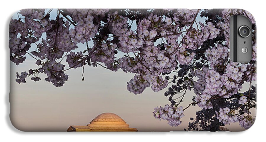 Photography iPhone 7 Plus Case featuring the photograph Cherry Blossom Tree With A Memorial by Panoramic Images