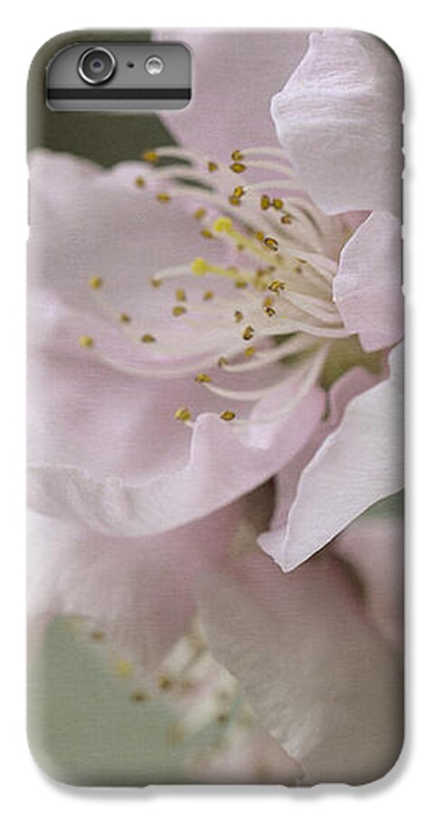 Pink iPhone 7 Plus Case featuring the photograph Pink is the color of happiness by Linda Lees