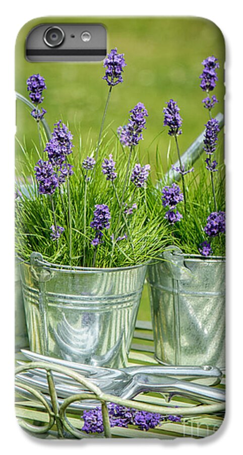 Lavender iPhone 7 Plus Case featuring the photograph Pots Of Lavender by Amanda Elwell