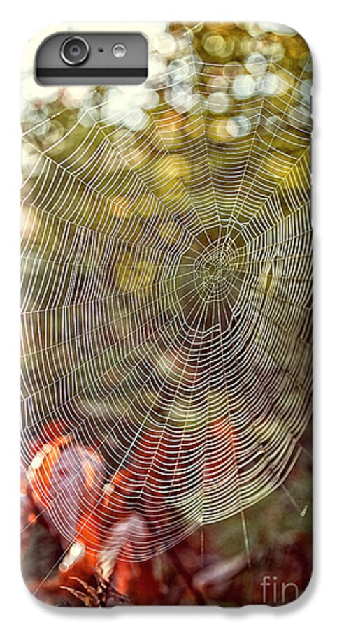 Background iPhone 7 Plus Case featuring the photograph Spider Web by Edward Fielding