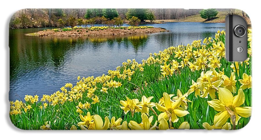 Daffodil iPhone 7 Plus Case featuring the photograph Sunny Daffodil by Bill Wakeley