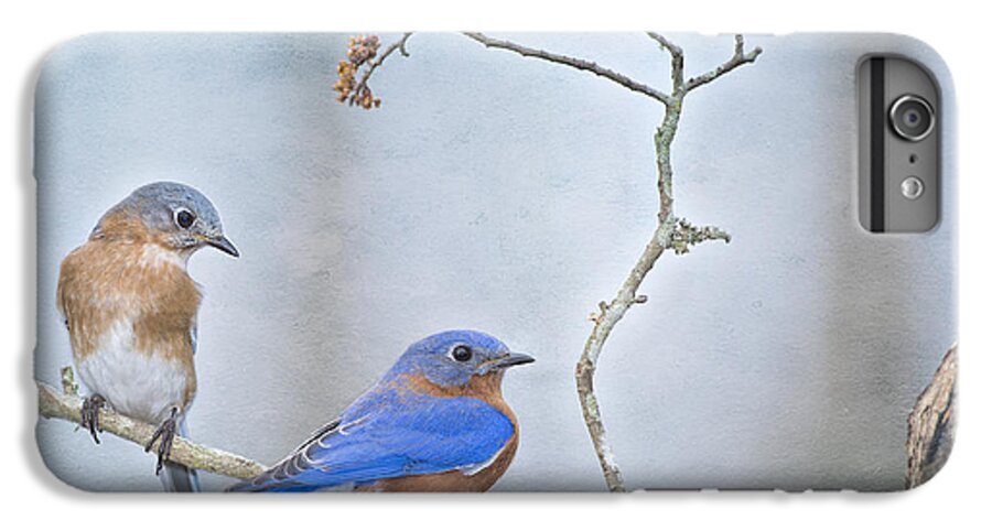 Sialia Sialis iPhone 7 Plus Case featuring the photograph The Presence of Bluebirds by Bonnie Barry
