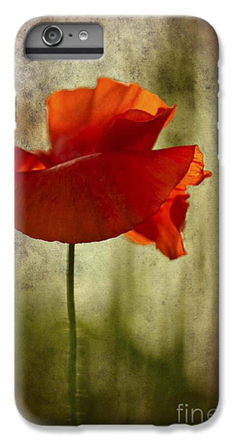 Poppy iPhone 7 Plus Case featuring the photograph Moody Poppy. by Clare Bambers - Bambers Images