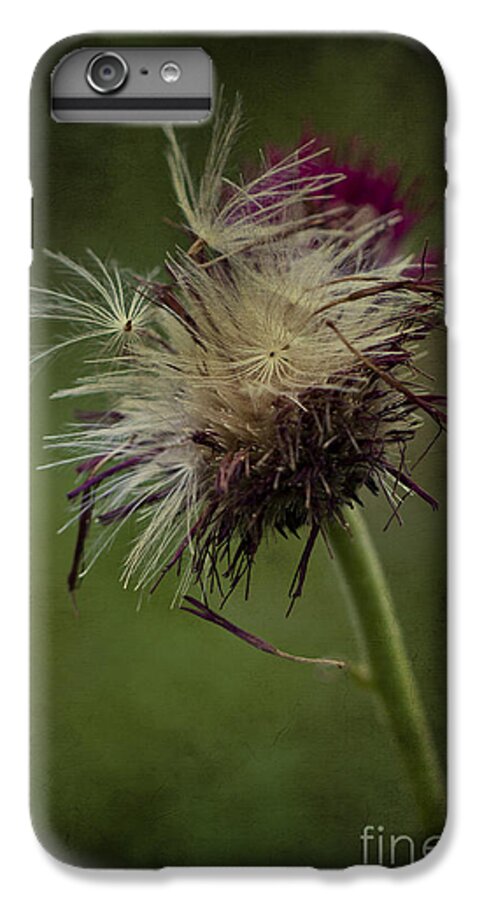 Seeds iPhone 7 Plus Case featuring the photograph Ready to fly away... by Clare Bambers