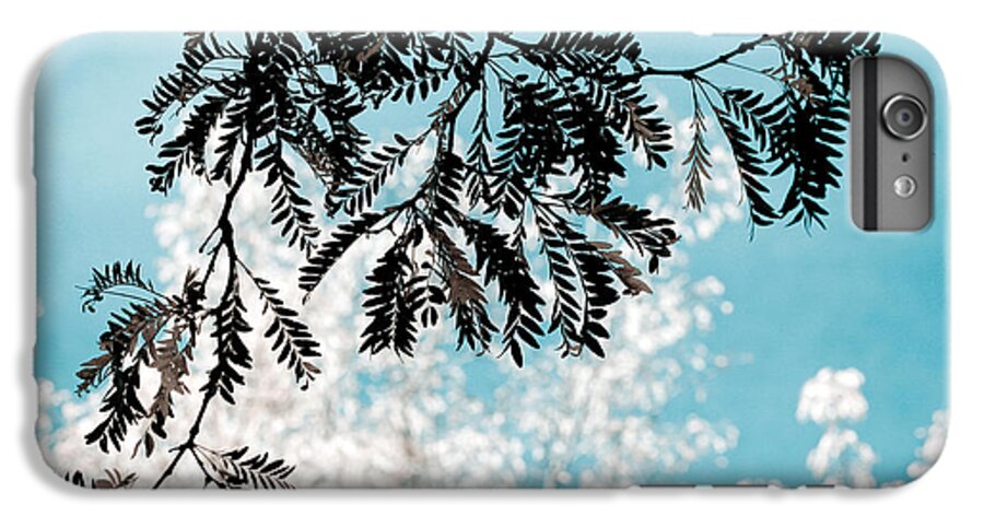 Tree iPhone 7 Plus Case featuring the photograph Abstract Locust by Marilyn Hunt