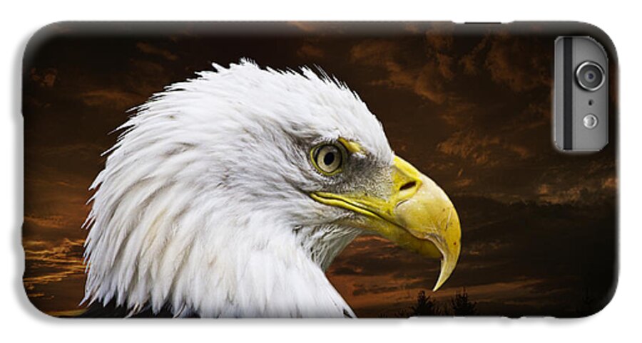 Eagle iPhone 7 Plus Case featuring the photograph Bald Eagle - Freedom and Hope - Artist Cris Hayes by Cris Hayes