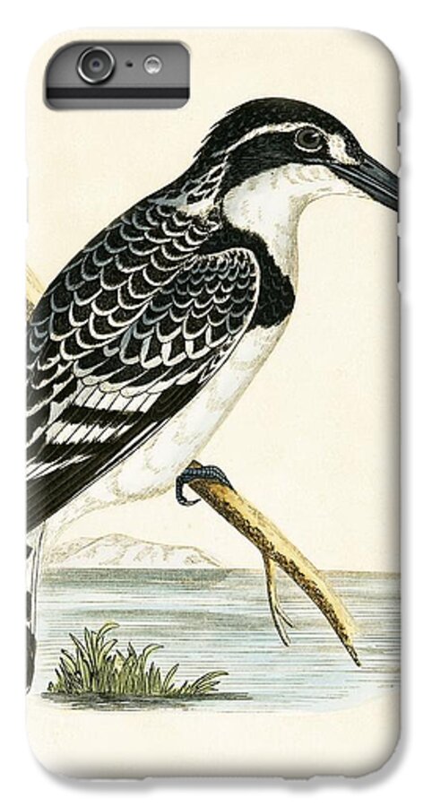 Kingfisher iPhone 7 Plus Case featuring the painting Black and White Kingfisher by English School