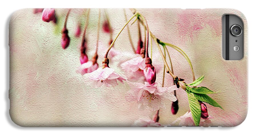 Blossom iPhone 7 Plus Case featuring the photograph Delicate Bloom by Jessica Jenney