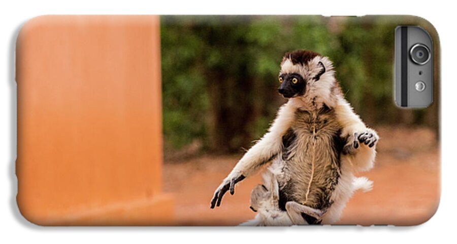 Lemur iPhone 7 Plus Case featuring the photograph Kung Fu Mom by Alex Lapidus
