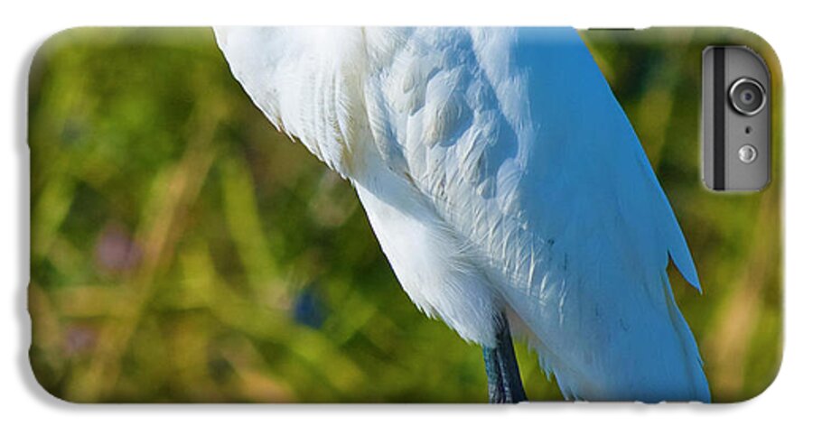 Great White Egret iPhone 7 Plus Case featuring the photograph My Better Side by Betsy Knapp