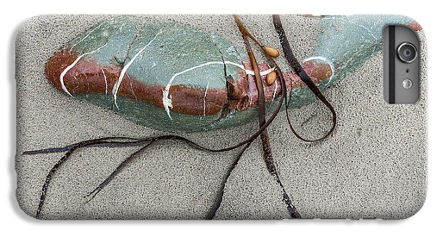 Stone iPhone 7 Plus Case featuring the photograph Nature's Art by Werner Padarin