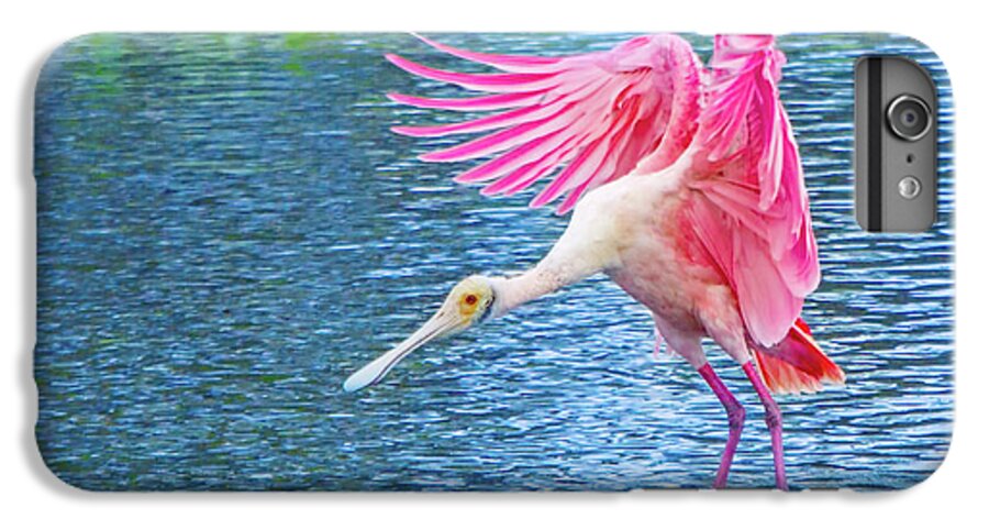 Roseate Spoonbill iPhone 7 Plus Case featuring the photograph Spoonbill Splash by Mark Andrew Thomas