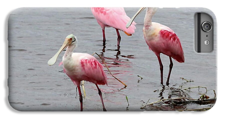 Bird iPhone 7 Plus Case featuring the photograph Three Roseate Spoonbills Square by Carol Groenen