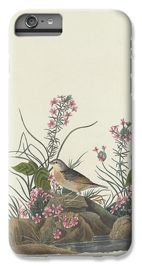 Audubon iPhone 7 Plus Case featuring the drawing Yellow-Winged Sparrow by Dreyer Wildlife Print Collections 