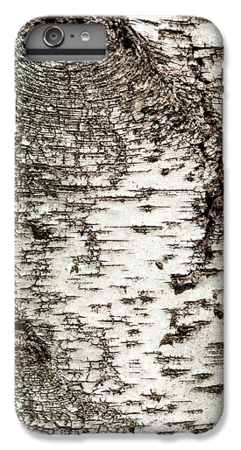 Birch Tree iPhone 7 Plus Case featuring the photograph Birch Tree Bark by Christina Rollo