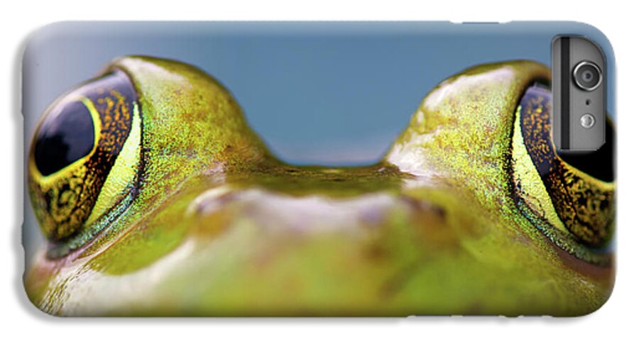 Close-up Of American Bullfrog Eyes iPhone 7 Plus Case by Nick Harris  Photography - Photos.com