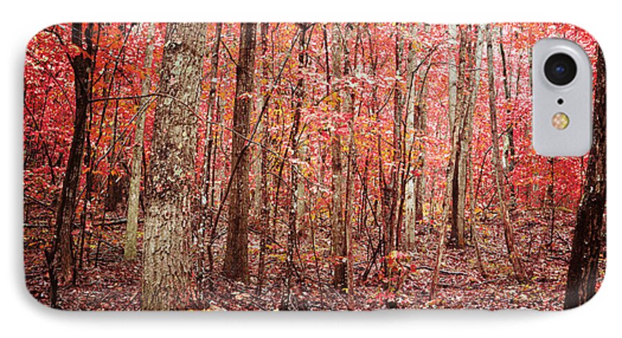 Autumn iPhone 8 Case featuring the photograph Autumn Landscape #1 by Kim Fearheiley