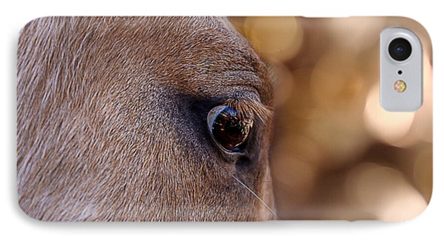 Animal Eye iPhone 8 Case featuring the photograph On Watch #1 by Doug Long