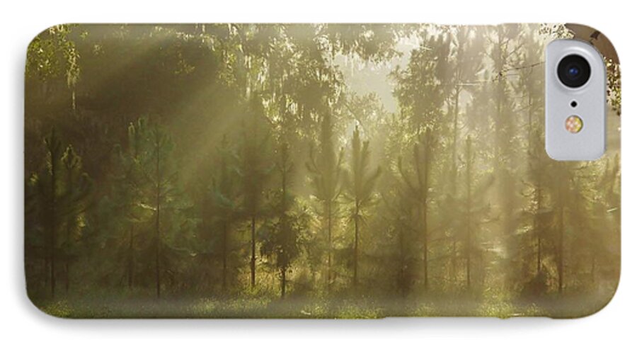 Sunshine iPhone 8 Case featuring the photograph Sunshine Morning by D Hackett