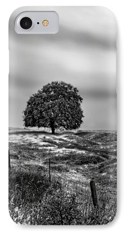 Tree iPhone 8 Case featuring the photograph Valley Oak Majesty by Abram House