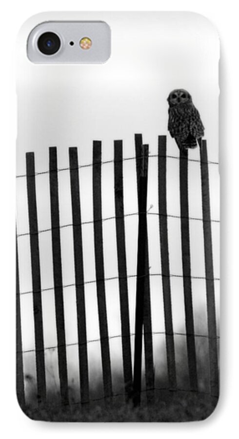 Short-eared Owl iPhone 8 Case featuring the photograph Waiting Owl by Tracy Winter