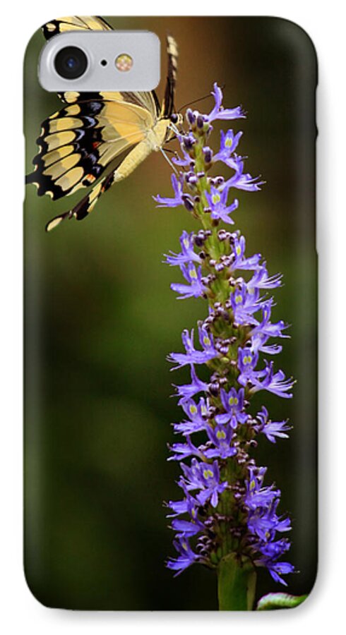 Yellow Butterfly iPhone 8 Case featuring the photograph Yellow Swallowtail #1 by Joseph G Holland