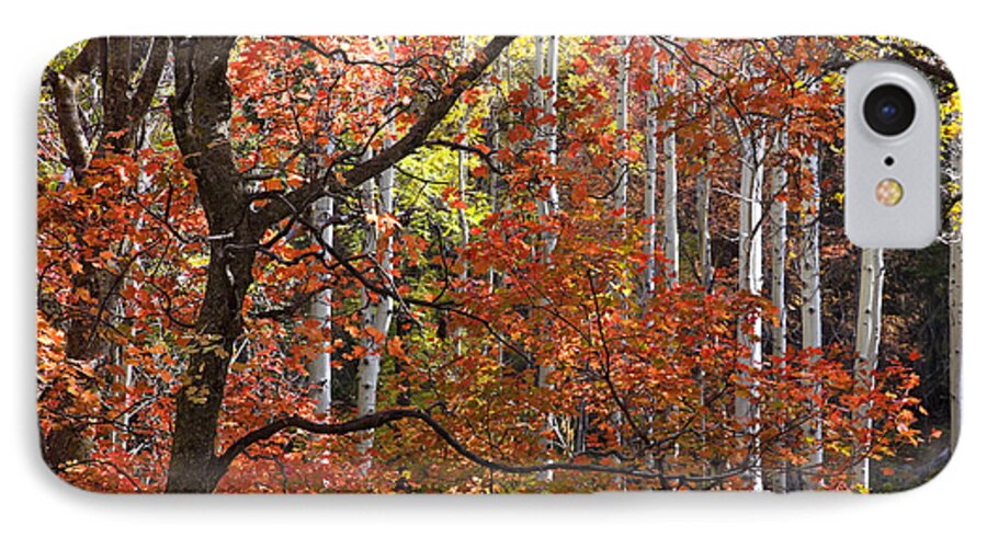 Autumn iPhone 8 Case featuring the photograph Autumn Colors #2 by Sue Cullumber