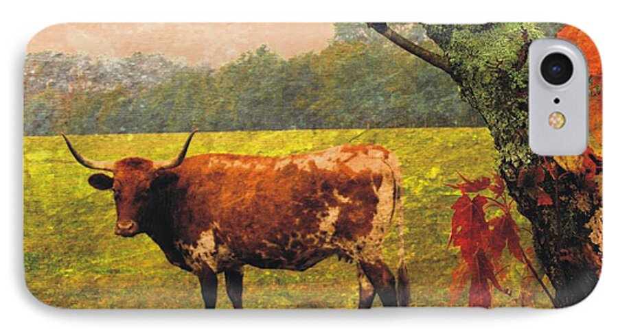 Cow iPhone 8 Case featuring the photograph Brown and White #2 by Joe Duket