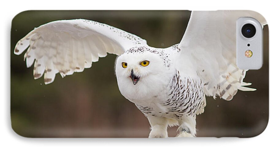 Snowy iPhone 8 Case featuring the photograph Snowy Owl #2 by Les Palenik