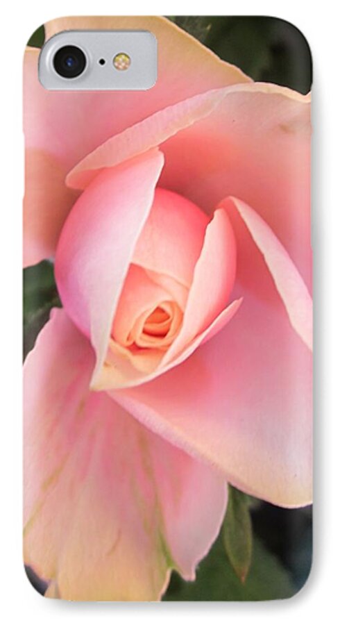 Rose iPhone 8 Case featuring the photograph Solo #2 by Rosita Larsson