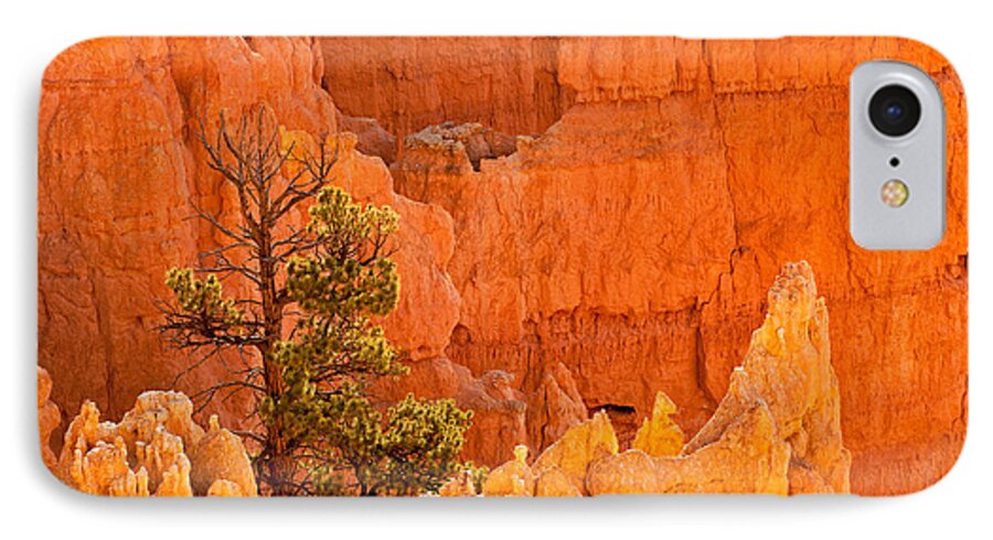 Bryce Canyon iPhone 8 Case featuring the photograph Sunset Point Bryce Canyon National Park #2 by Fred Stearns