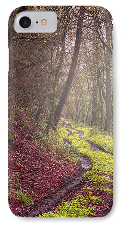 Autumn iPhone 8 Case featuring the photograph Winter landscape #2 by Paulo Goncalves