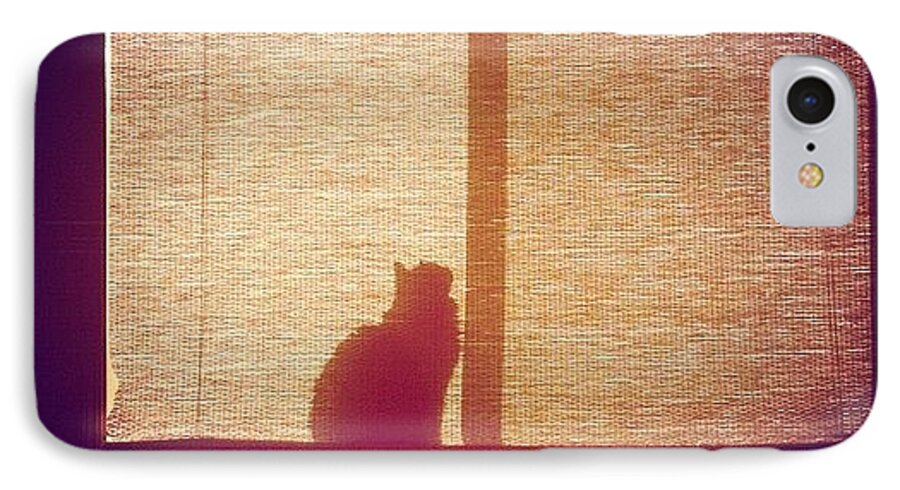 Cat iPhone 8 Case featuring the photograph He Found the Light by April Moen