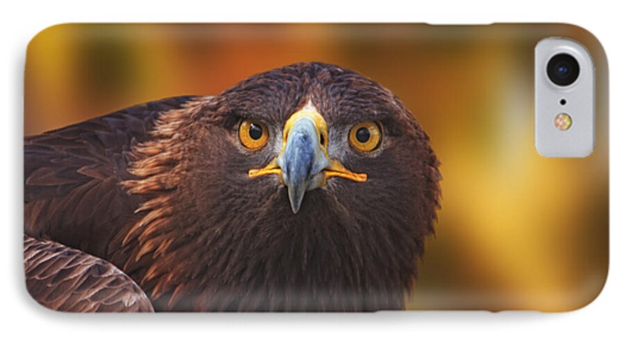 Animal iPhone 8 Case featuring the photograph Golden Eagle #3 by Brian Cross
