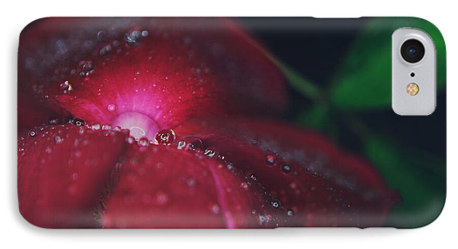 Flowers iPhone 8 Case featuring the photograph A Beacon of Light by Laurie Search