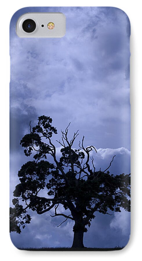 Art Shapes Colors iPhone 8 Case featuring the photograph A Flash of Blue Tree by Sally Ross