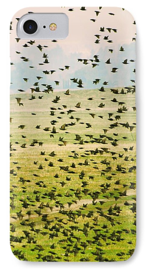 Birds iPhone 8 Case featuring the photograph A Flock of Freedom by Lisa Argyropoulos