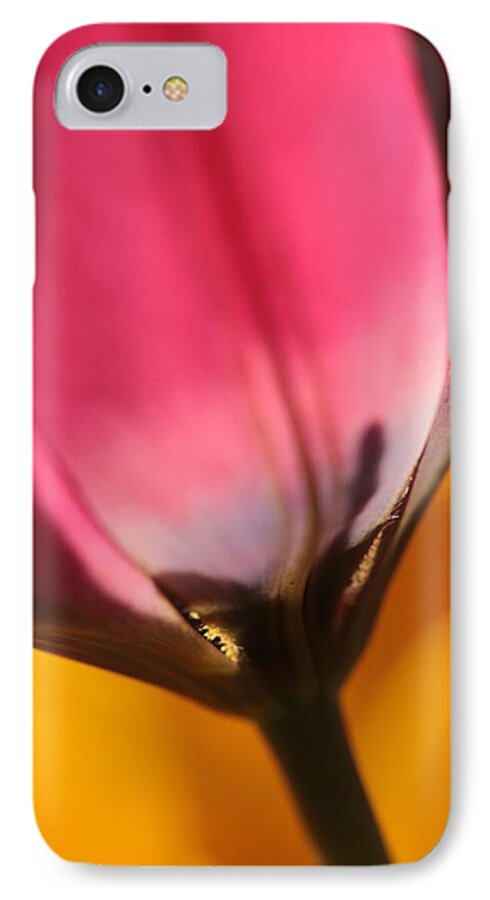 Tulip iPhone 8 Case featuring the photograph A Glimpse Into Eternity by Connie Handscomb