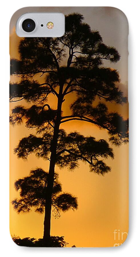 A Single Tree Standing Tall At Sunset - Isn't Nature Beautiful! iPhone 8 Case featuring the photograph A single tree standing tall at sunset. Nature is so beautiful. by Robert Birkenes