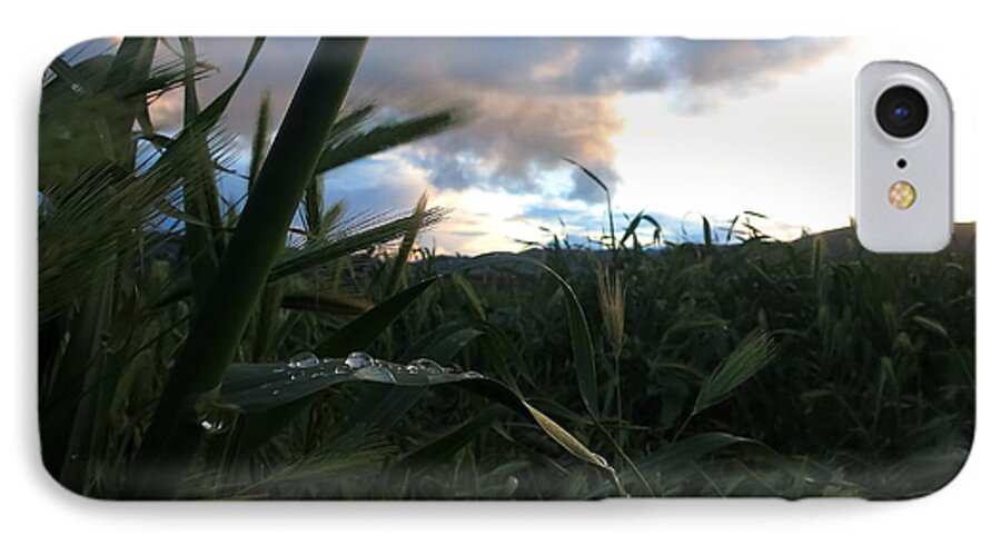Water iPhone 8 Case featuring the photograph After the Rain by Paul Foutz