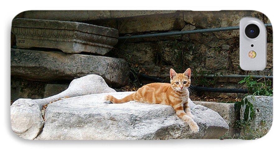 Greece Athens Agora Market Cat Kitty Kitten Feral Orange iPhone 8 Case featuring the photograph Ancient Agora Kitty by Brenda Salamone