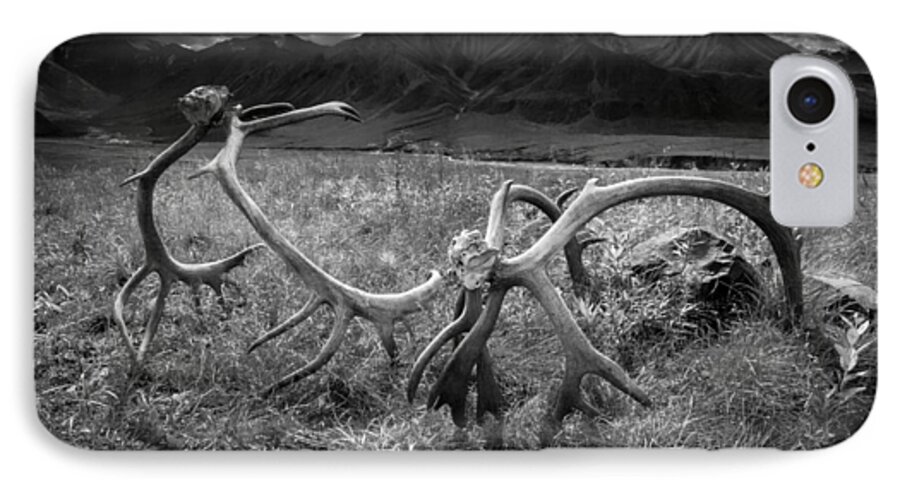 Antlers iPhone 8 Case featuring the photograph Antlers in Black and White by Andrew Matwijec