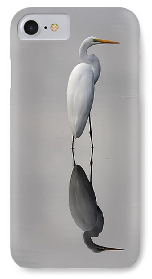 Great iPhone 8 Case featuring the photograph Argent Mirror by Paul Rebmann