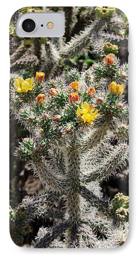 Blooming Cactus iPhone 8 Case featuring the photograph Arizona Cactus by Suzanne Lorenz