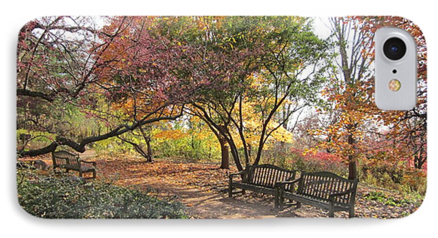 Trees iPhone 8 Case featuring the photograph Autumn Garden by Kathie Chicoine