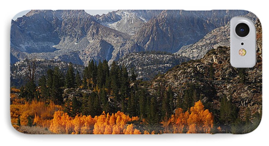 Fall iPhone 8 Case featuring the photograph Autumn in Bishop Canyon in the Eastern Sierras by Jetson Nguyen